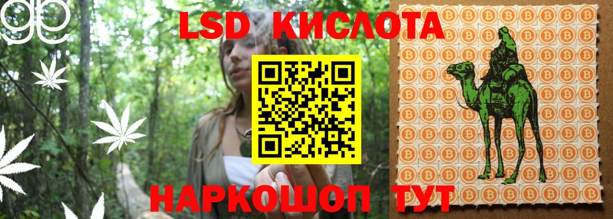 Михайловка  Наркотические марки 1,8мг  Вход с VPN 