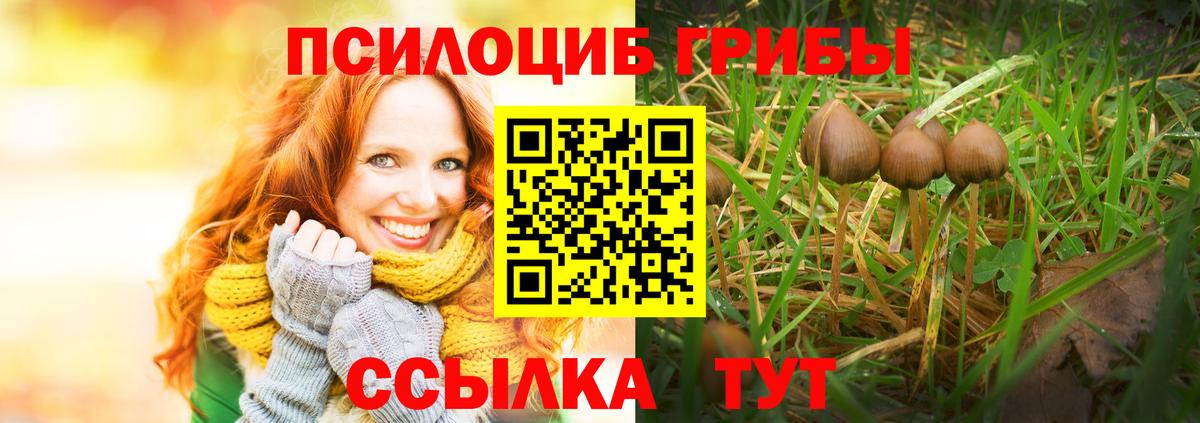 Псилоцибиновые грибы Magic Shrooms  Вход с VPN  где продают наркотики  Галлюциногенные грибы GOLDEN TEACHER  Михайловка 
