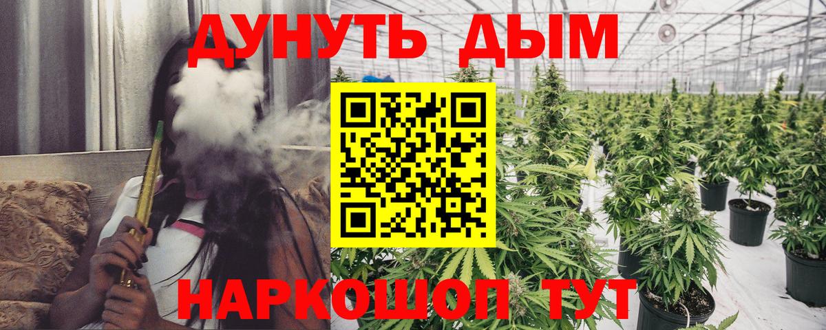 Канабис Bruce Banner Михайловка